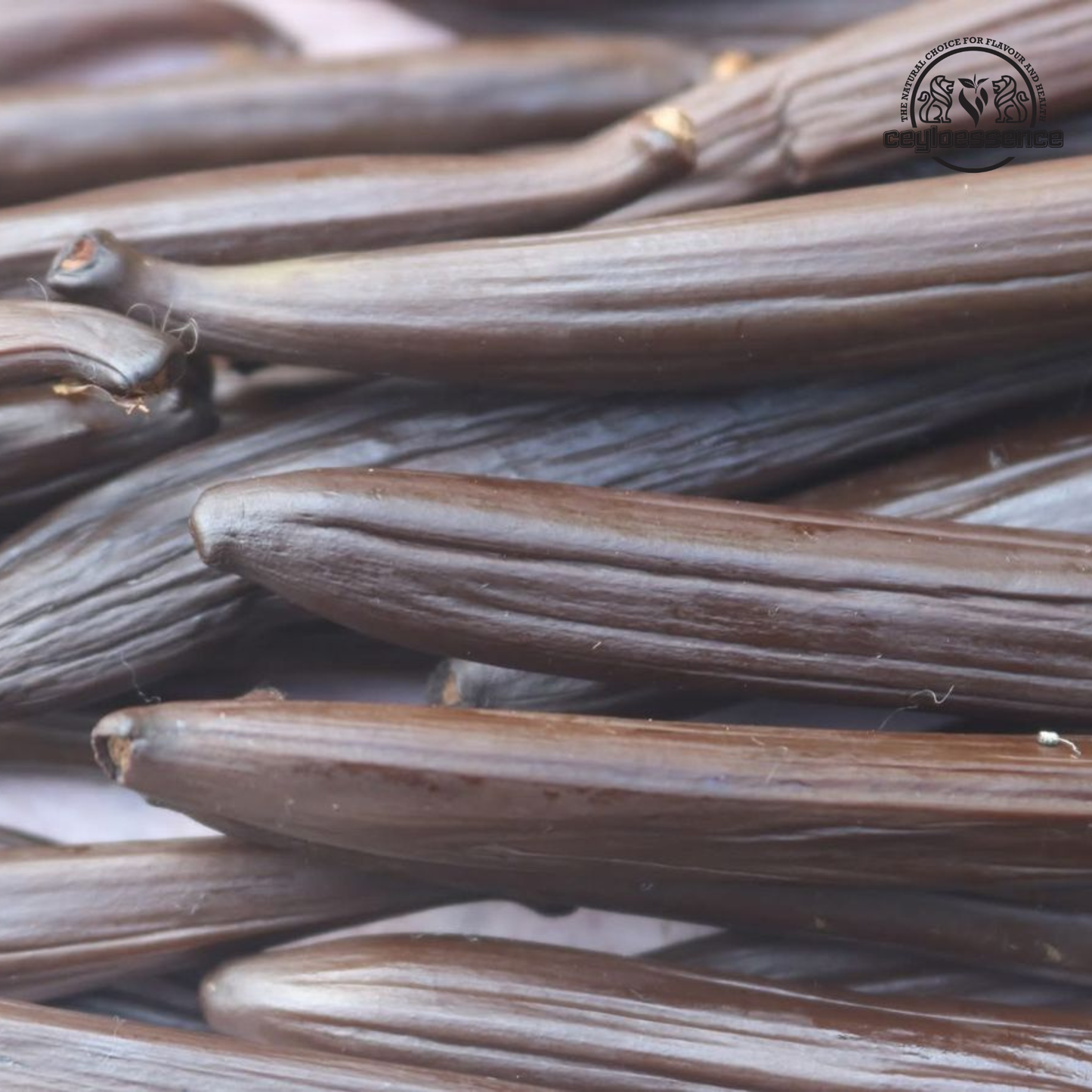 Ceylon Vanilla Beans – Tahitian Style Grade A | Floral & Fruity