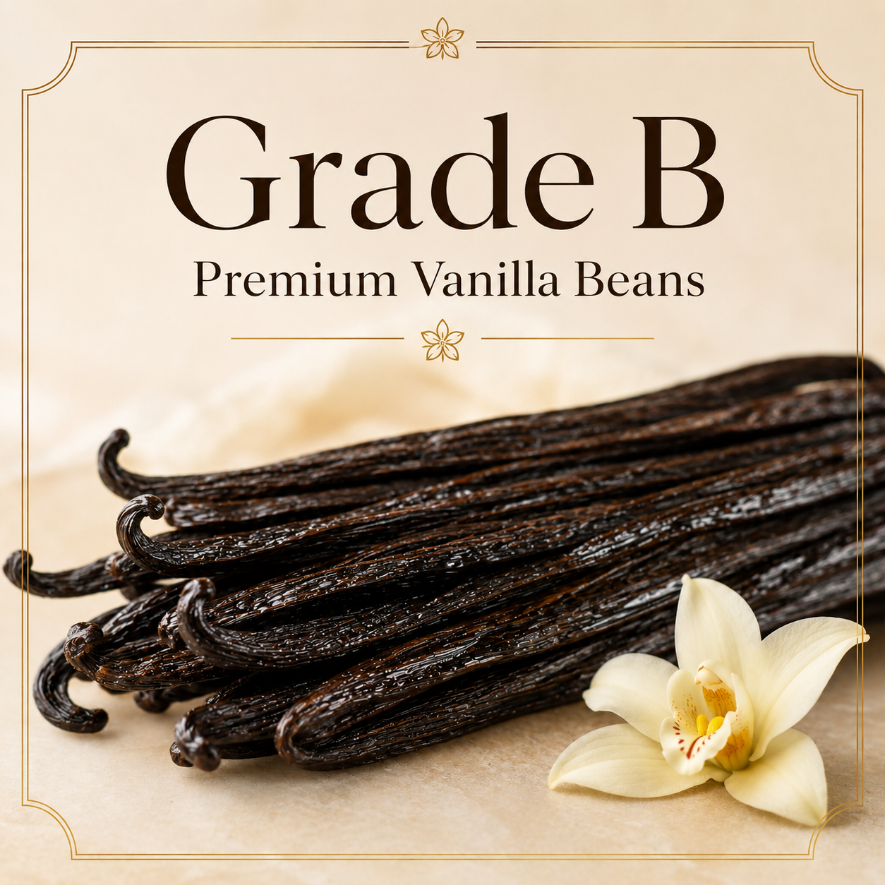 Grade B Vanilla Beans