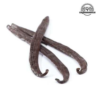 Ceylon Vanilla Beans – Tahitian Style Grade B | Extract & Brewing