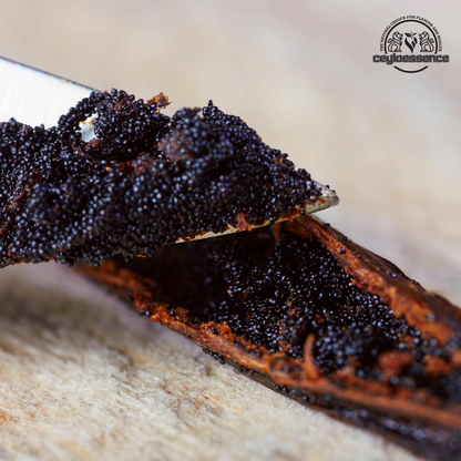 Natural Ceylon Bourbon Vanilla Beans – Grade A+ | Plump & Aromatic