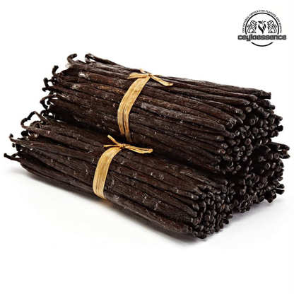 Natural Ceylon Bourbon Vanilla Beans – Grade A+ | Plump & Aromatic