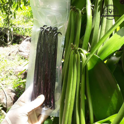 Natural Ceylon Bourbon Vanilla Beans – Grade A | Baking & Extract
