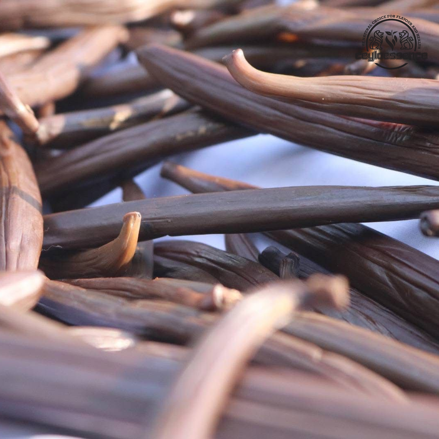 Ceylon Vanilla Beans – Tahitian Style Grade A | Floral & Fruity