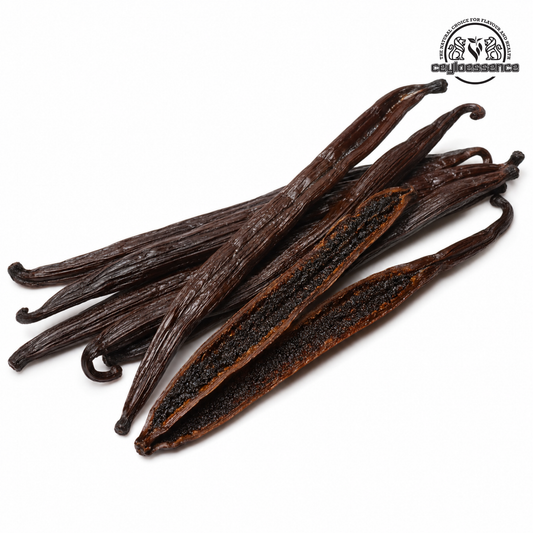 Ceylon Vanilla Beans – Tahitian Style Grade B | Extract & Brewing