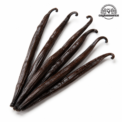 Ceylon Vanilla Beans – Tahitian Style Grade A+ | Bold Floral Aroma