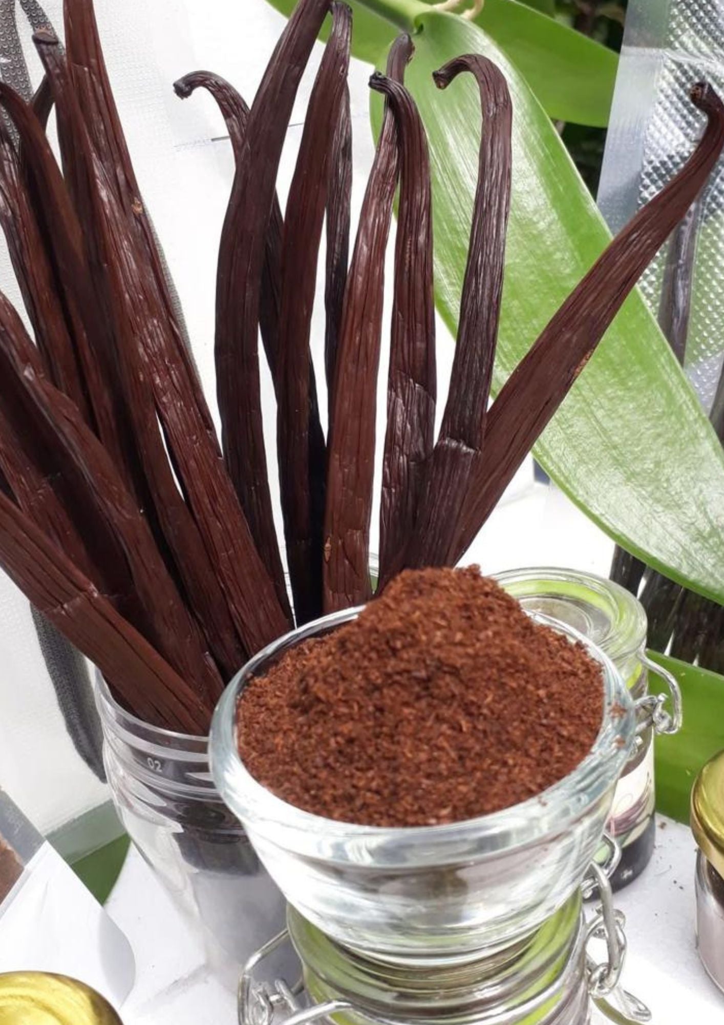 Premium Organic Grade-A+ Tahitian Vanilla Beans 100% Best Gourmet, Fresh & Aromatic Pods (g-kg)