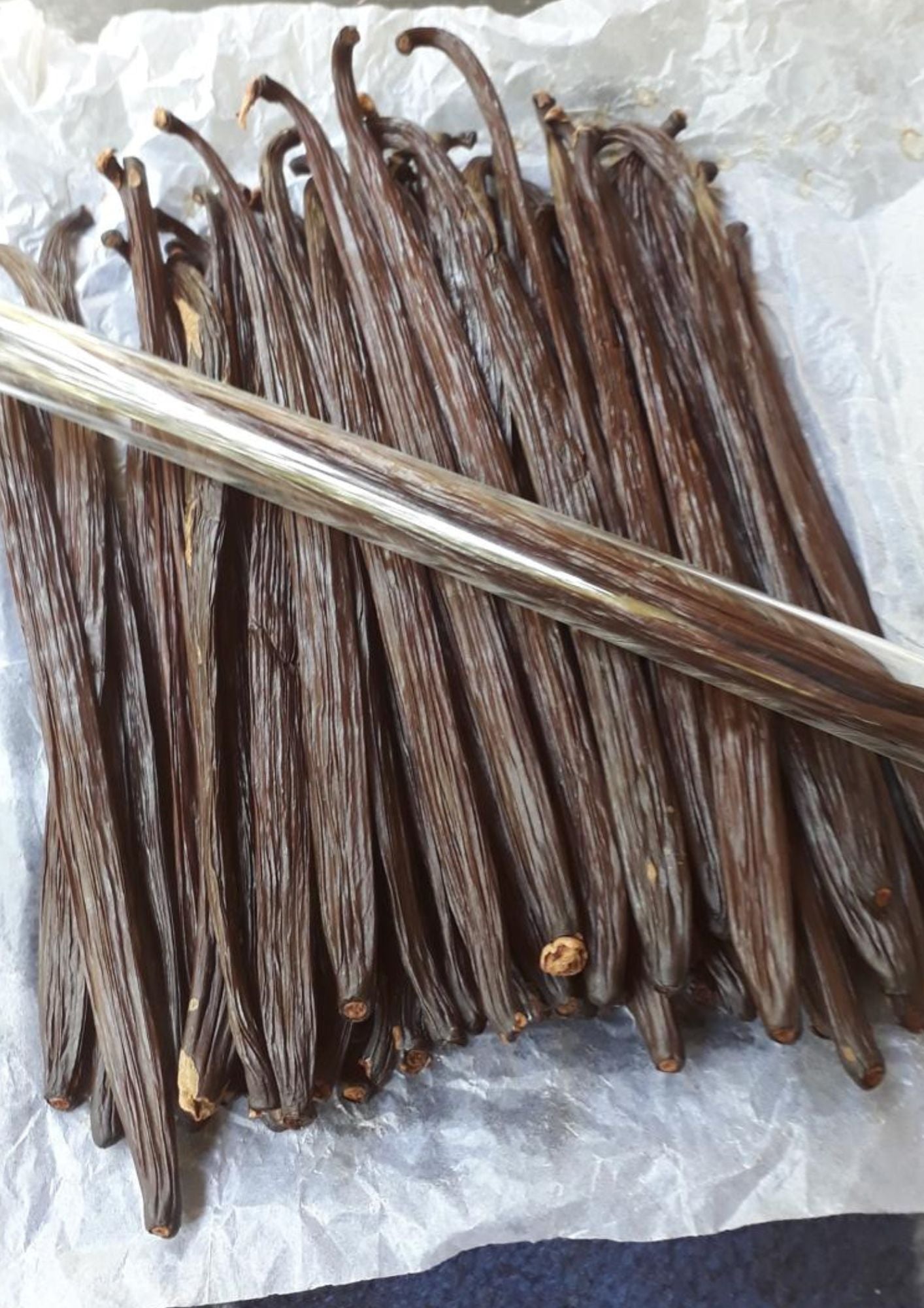 Tahitian Vanilla Premium Beans Grade A+ 100% Best Quality Great for Extraction (oz)